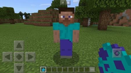 Steve