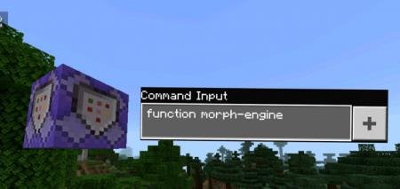 Visual Morph