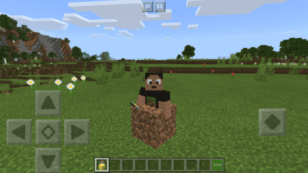 Block Morphs