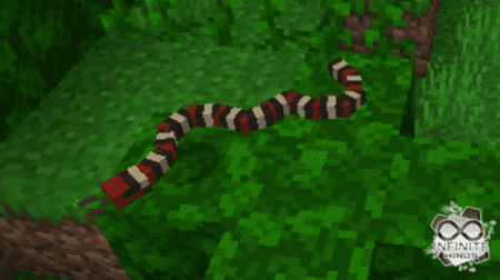 Snakes