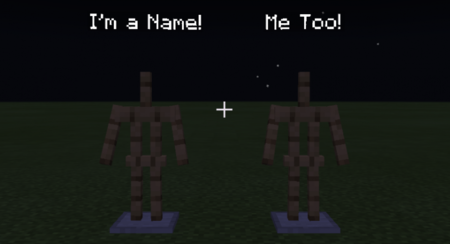 Always Show Nametags