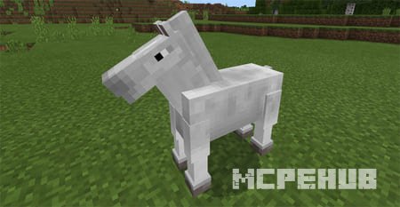 The Old Horses