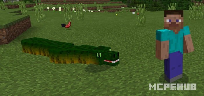 Snake
