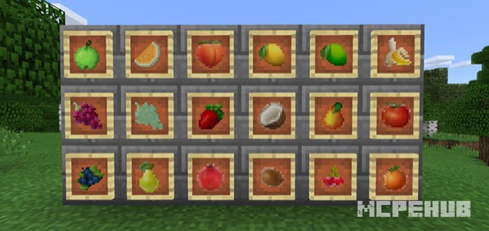 More Fruits