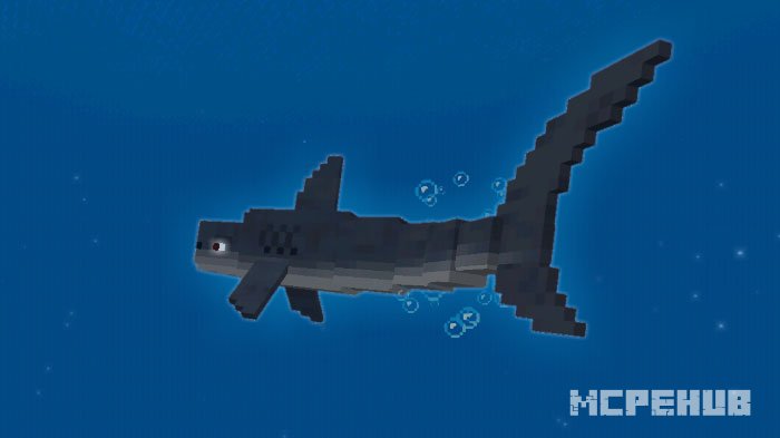 Jaws and Megalodon