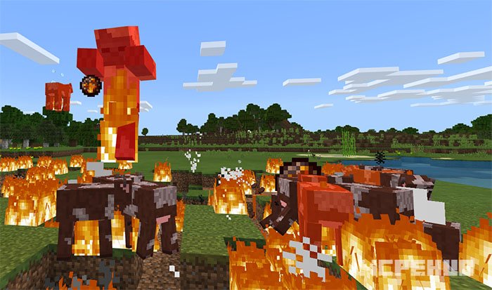Crazy Mobs