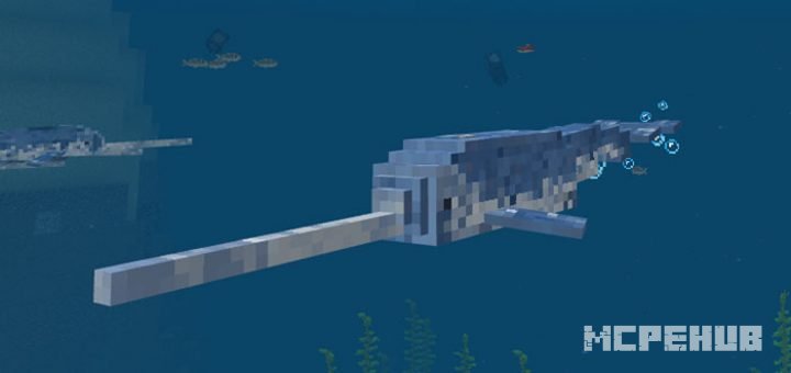 Narwhal Addon