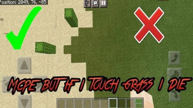 MCPE But If You Touch Grass You Die