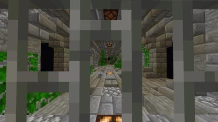 Treasure Hunter Series: Jungle Puzzle