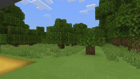Viridian Forest