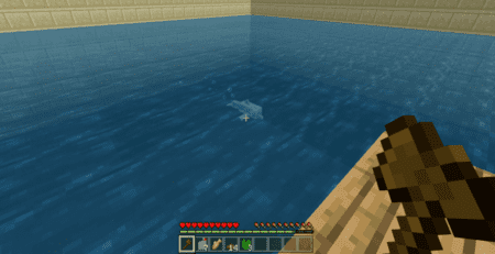 CT The RAFT