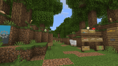 SB: The Secret Forest