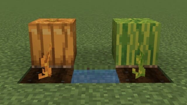 Ultimate Survival