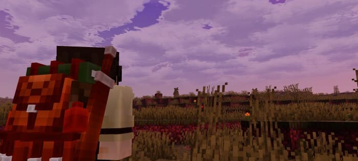 NEWB x FLAMINGO Textures