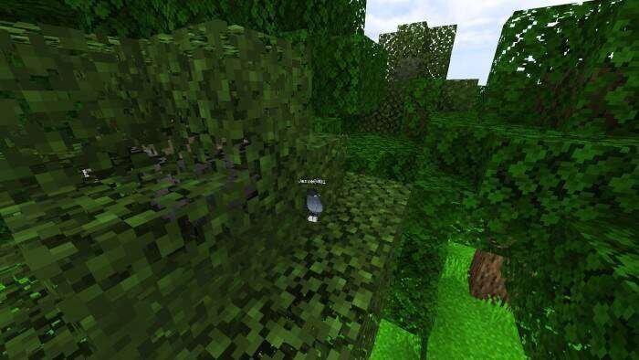ESP Textures
