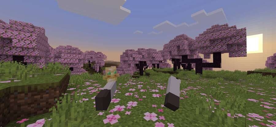 Xnova Model