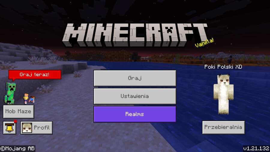 No Minecraft Store Textures
