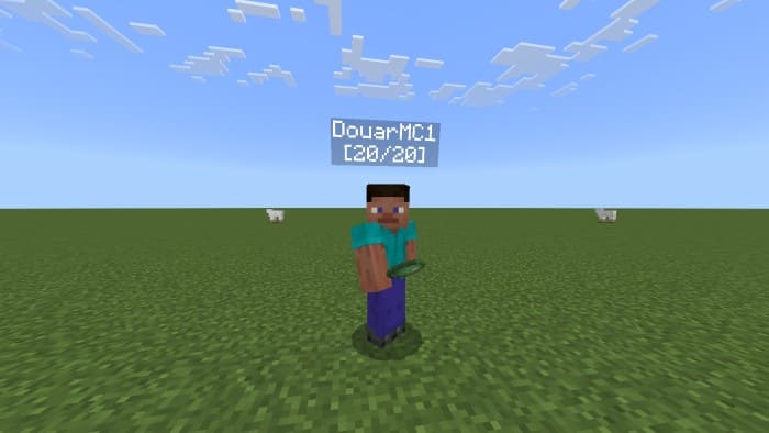 Display Player & Mob Health Textures