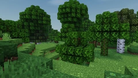 Bushy Leaves Textures