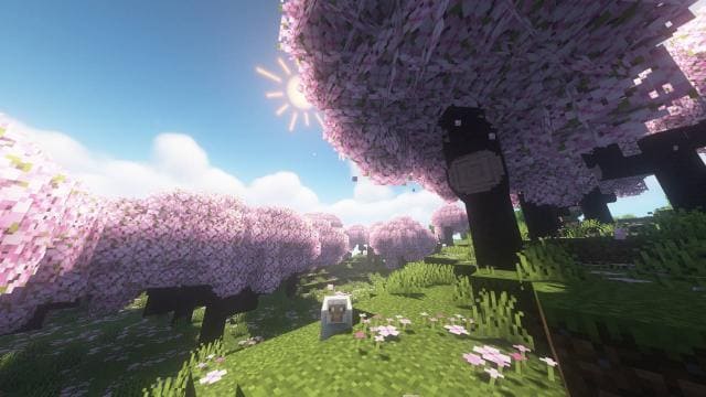 Better Leaves Textures
