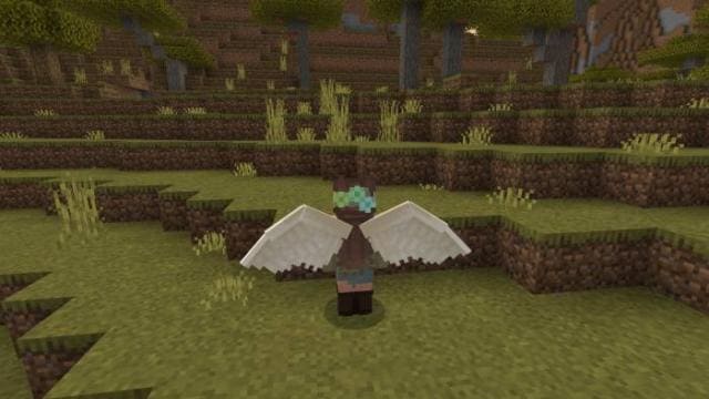 3d Angel Elytra Re-Model and Re-Texture