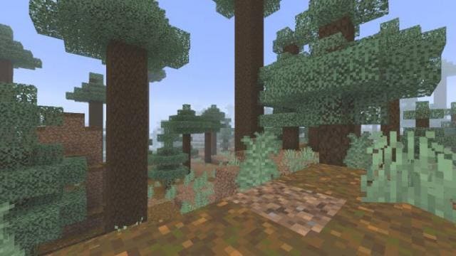Reworked Textures