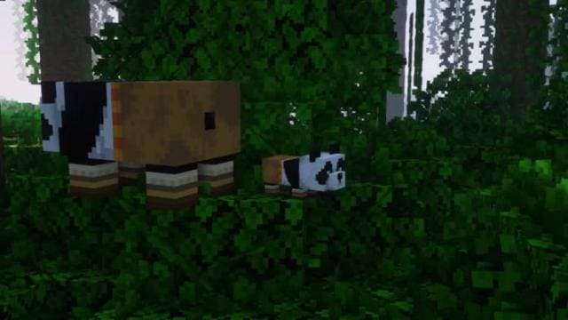 Kung Fu Panda Textures