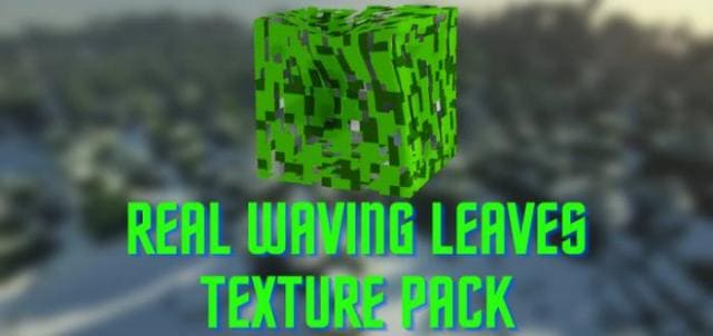 Real Waving Leaves Textures