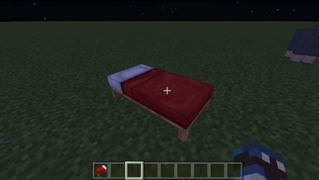 Bed Crasher Exploit