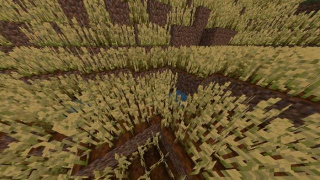 Variated Crops Textures