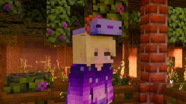 Wearable Axolotl Mob Heads Textures