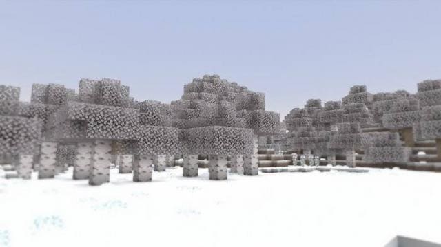 Winter Season Textures