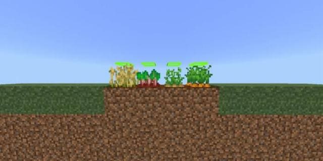Grow Seed Level Textures