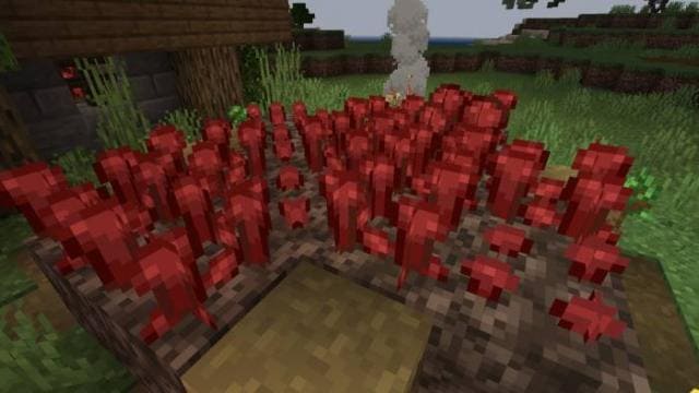 Better Warts Textures