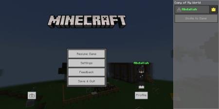 Screenshot Textures