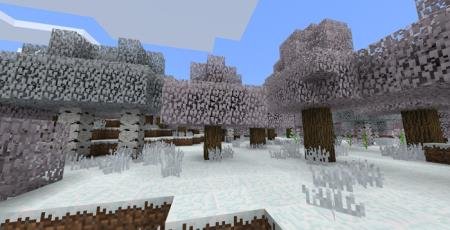 Seasons Textures