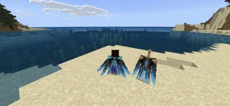 Draco Elytra Wings