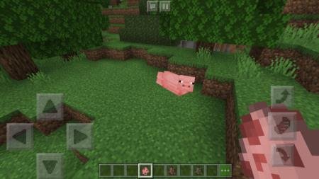 Weird Creature Animations Textures