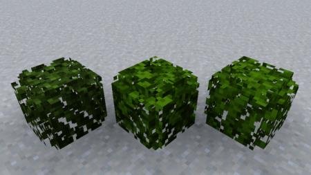 3D Leaves Model Textures