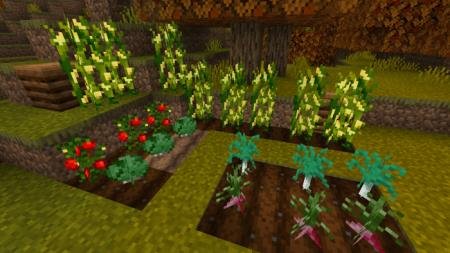Floral Crops Textures