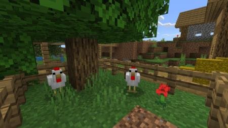 Better Chickens Textures