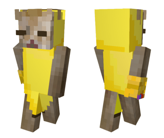 Cat in Banana Skin