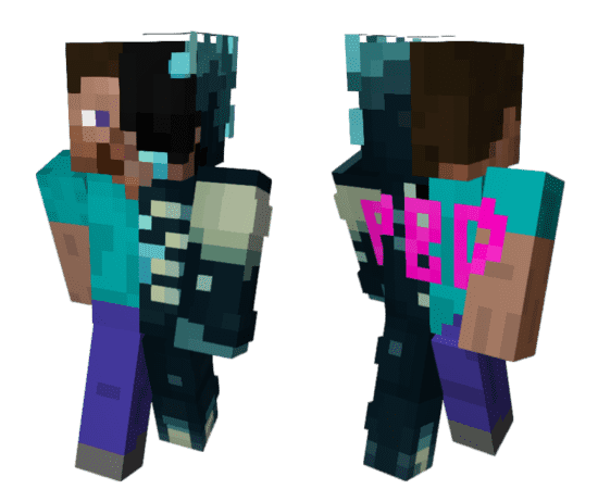 Steve Warden Skin