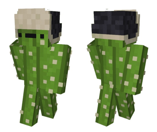Cactus Man Skin