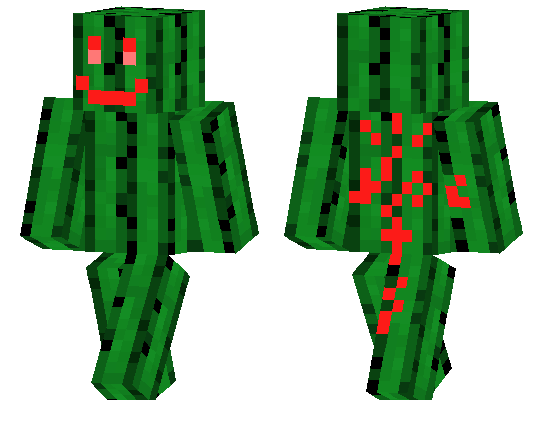 Cactus Jack Skin