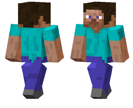 Reverse Face Steve Skin
