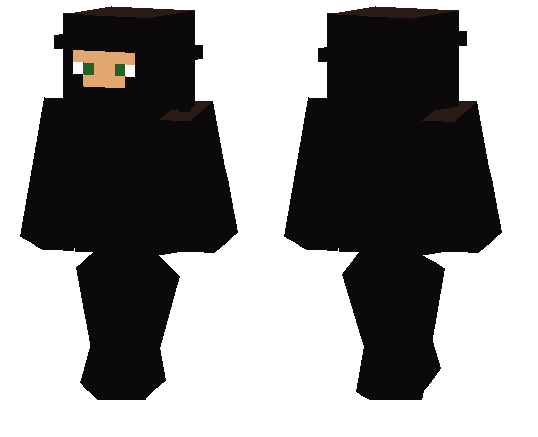 Stealthy Ninja Skin