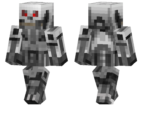 Terminator Skin