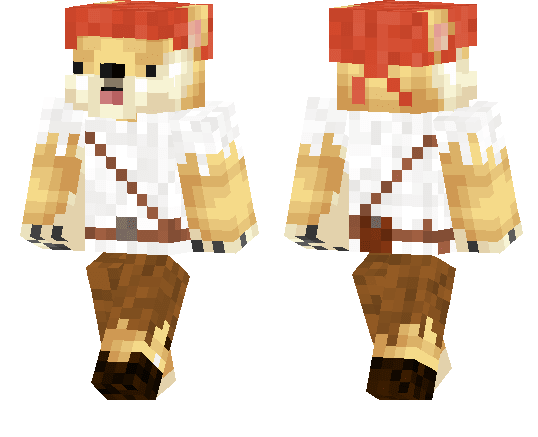 Pirate Dog Skin