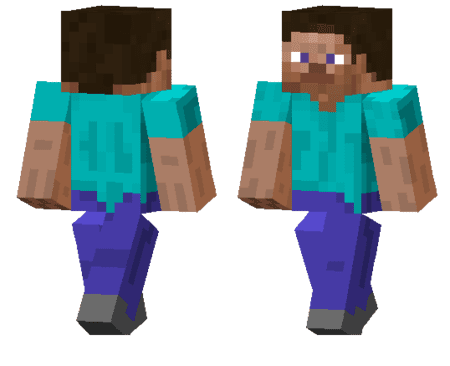 Reverse Steve Skin
